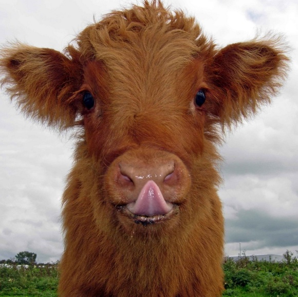 Meet your Posher, Kat.e - Picture 2 of 2